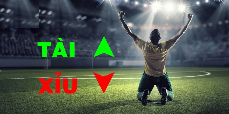 Cá Cược Bóng Rổ tại FANVIP: Nhận lộc lớn từ mỗi pha ném 3 điểm 3 Cược tài xỉu tại FAN VIP