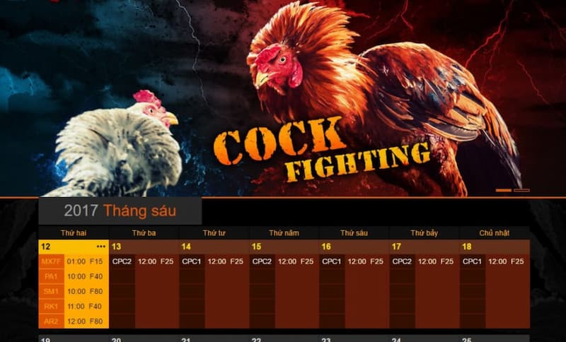 Đá gà 3 Các sảnh cược tại chọi gà FANVIP